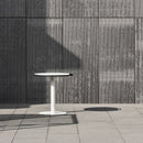 Alfie Occasional Table