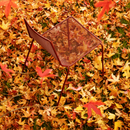 Marina Out Sled Chair with Metal Wire Mesh