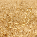 Marina Out Sled Chair with Metal Wire Mesh