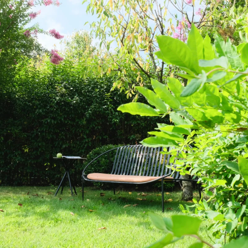 Rosa Bench
