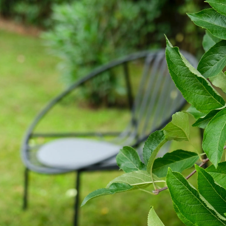 Rosa Lounge Chair
