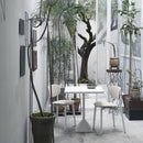 TNP Table - Minimum Order Requirement of 2