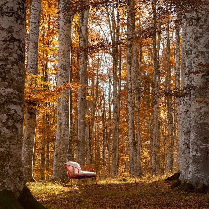 NOT OUT Armchair Chair witch Cushions