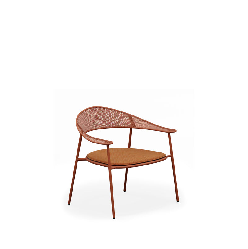 Acer Lounge Chair