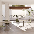 Globe Table | Round Wood Top | Round Base