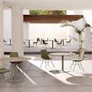 Pera Ellipse Swivel Chair