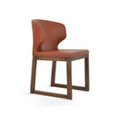 Amed Sled Wood Chair