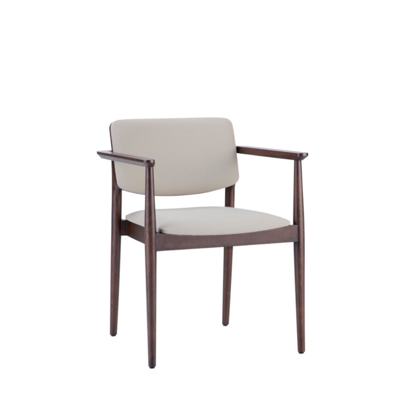 Dion Armchair
