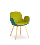 Buy Duo-Toned Block Color Effect Daisy Plywood Armchair | 212Concept