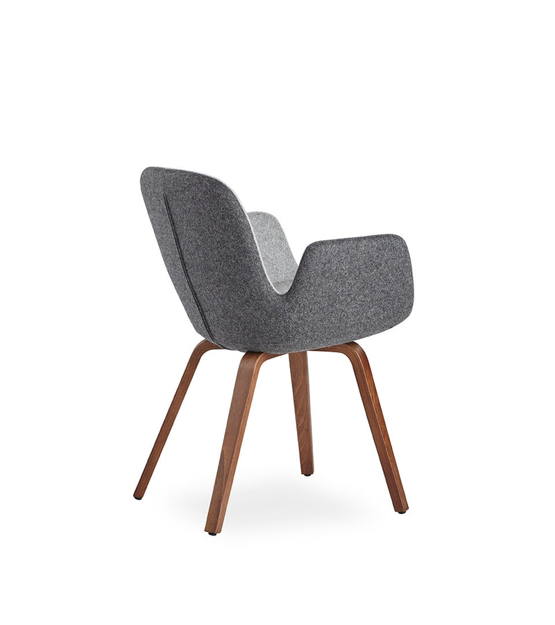 Buy Duo-Toned Block Color Effect Daisy Plywood Armchair | 212Concept