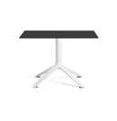 Eex Cocktail Table