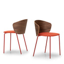 Not Wood Steel Sled Base Chair