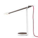 Buy LED Natural Wood Finish Gravy Desk Lamp | 212Concept