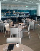 Joko Chair - Minimum Order of 4