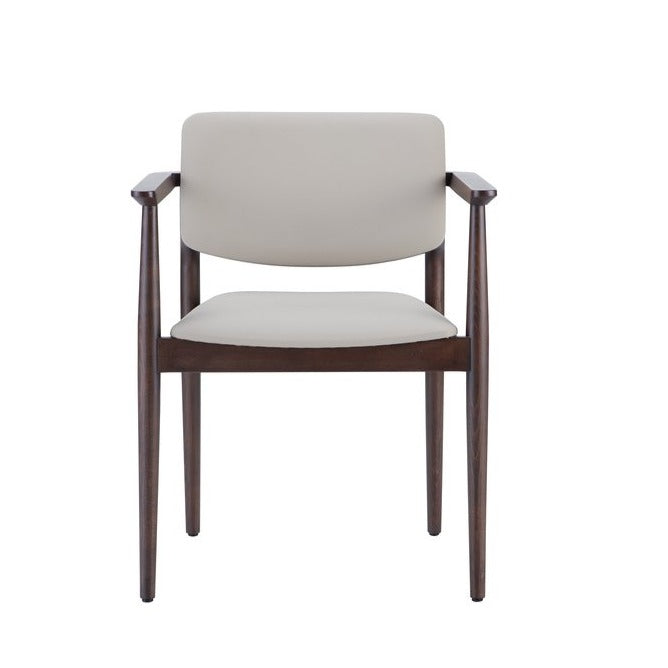 Dion Armchair