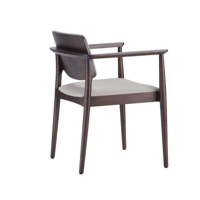 Dion Armchair