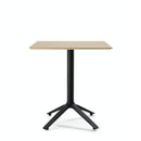 Eex Dining Table Wood Top